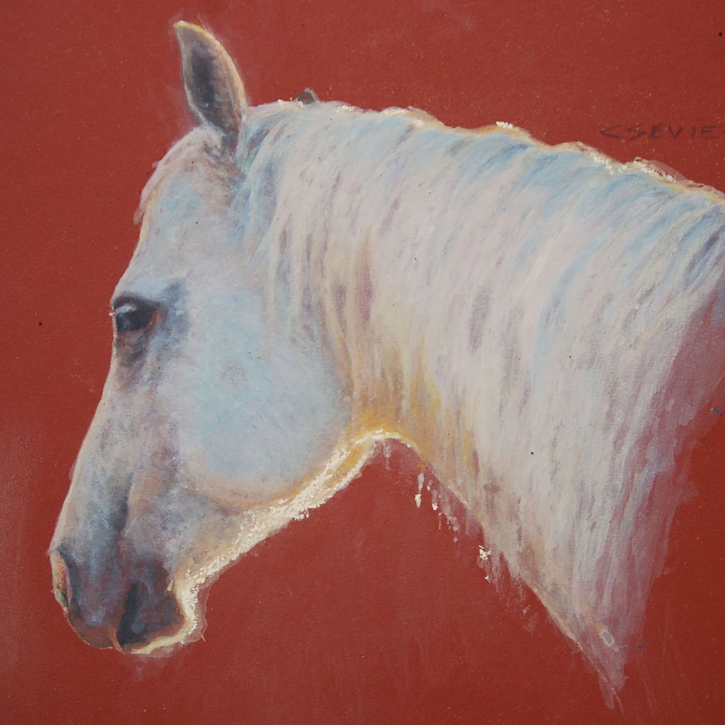 "Chief"  Gouache on sandpaper