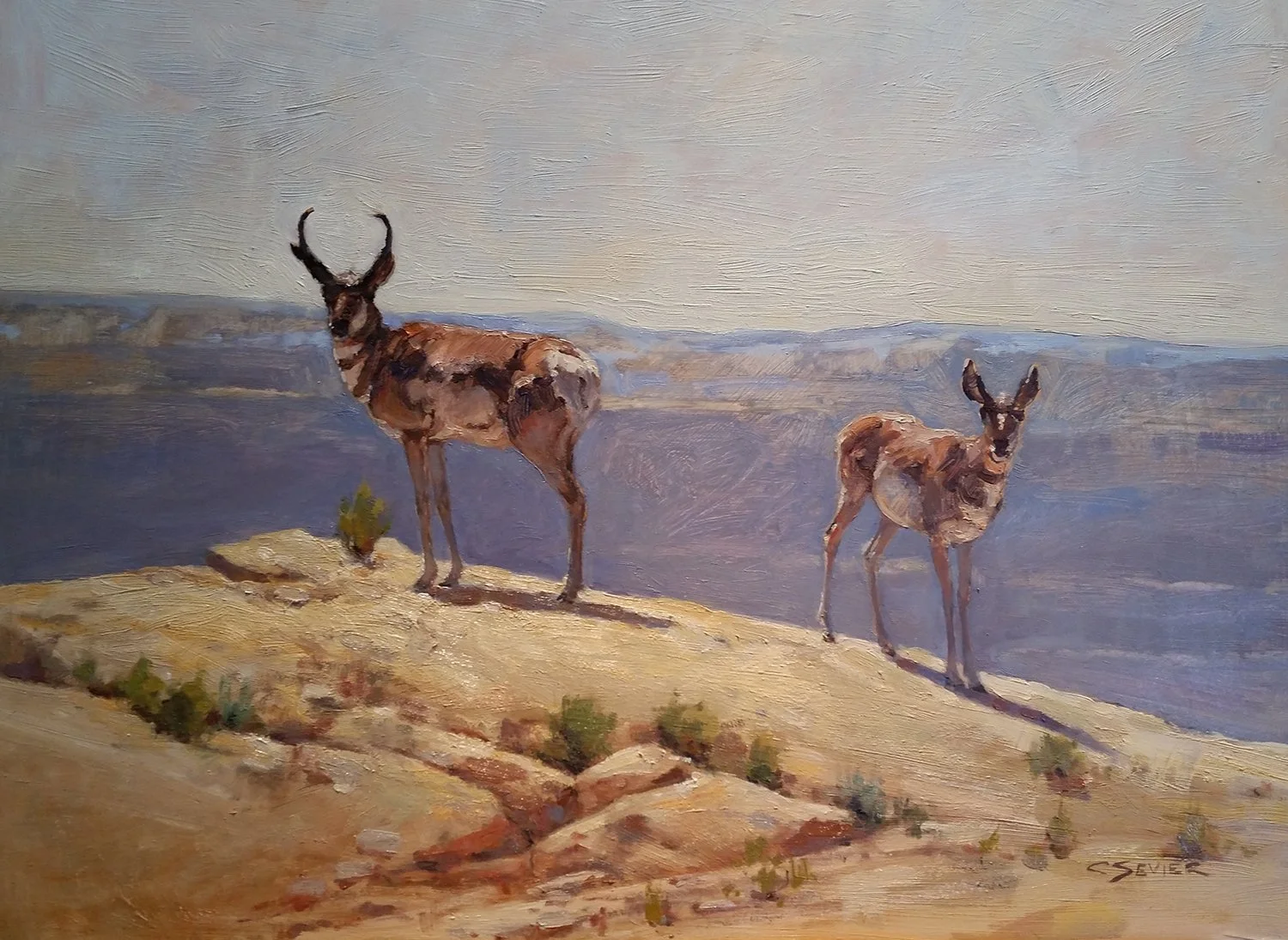 Painting for "Western Visions" show at the National Museum of Wildlife Art, Jackson, WY