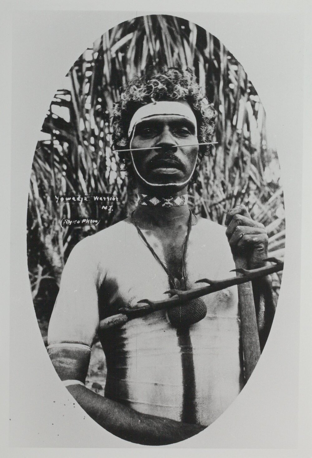 "Yowadja" warrior N.T. "Iwaidja" man, decorated with body paint. Photo 5