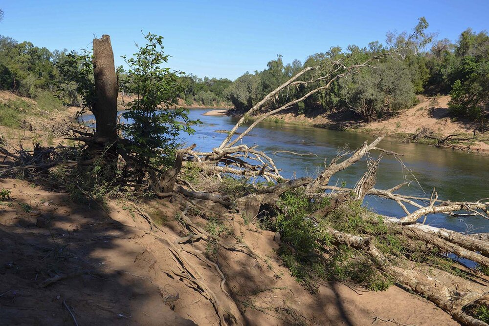 View upstream from crossing