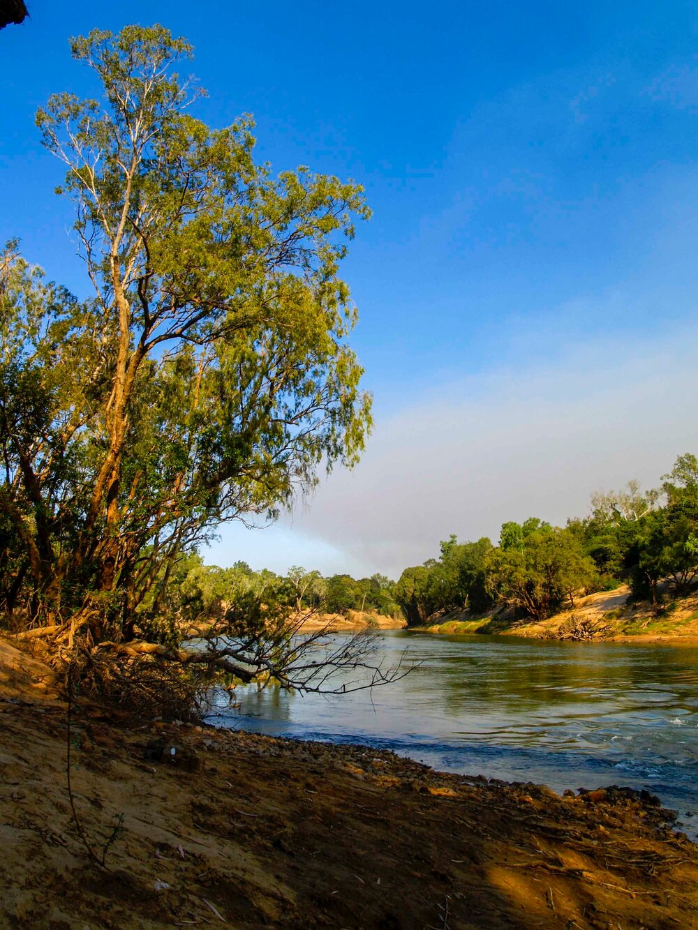 View upstream of the crossing