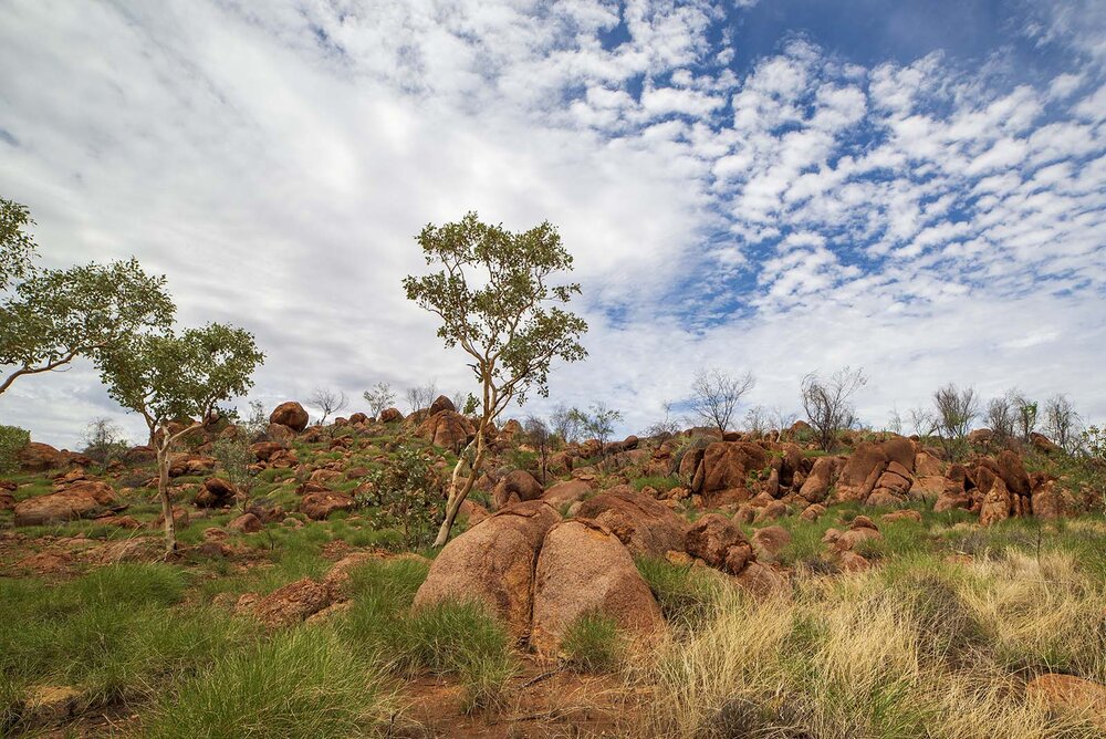 Tennant Creek _173.jpg