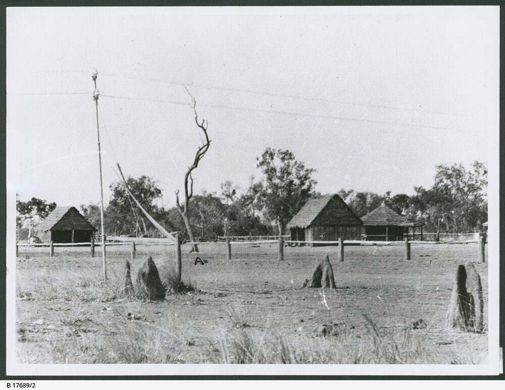 Stuart's Tree (1920) Photo 1
