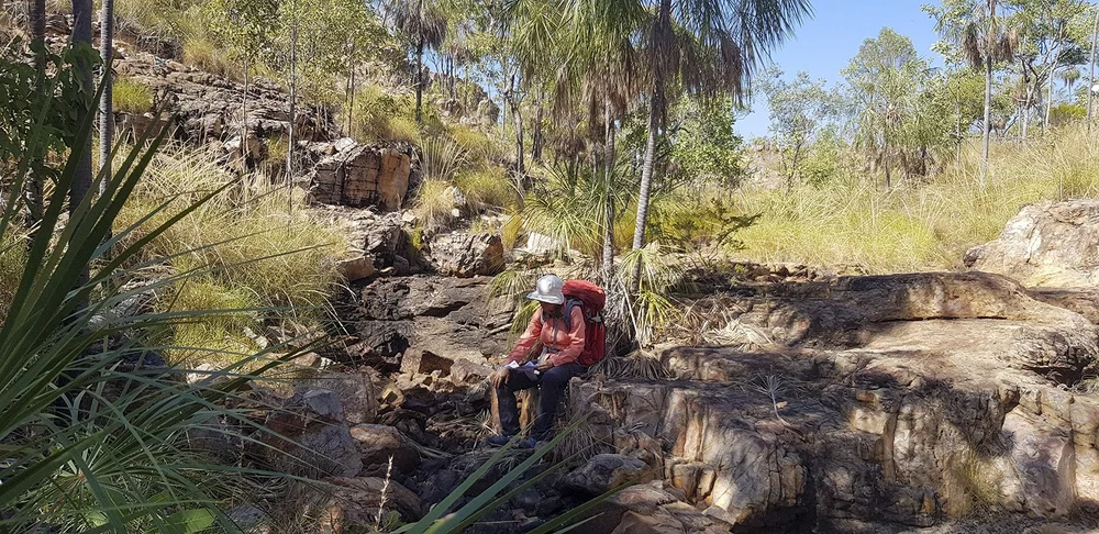 Waleka track (5.9 km)