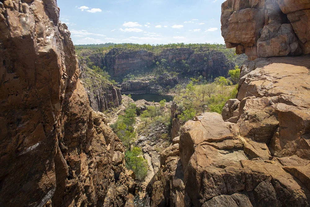 View from Lily Ponds