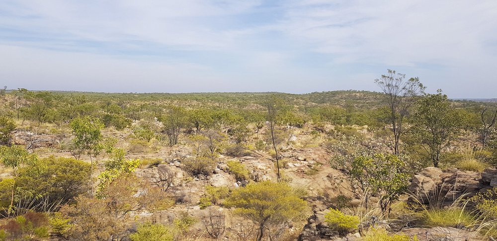 Section with low scrubland