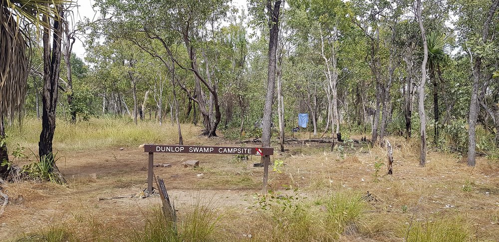 Dunlop Swamp campsite