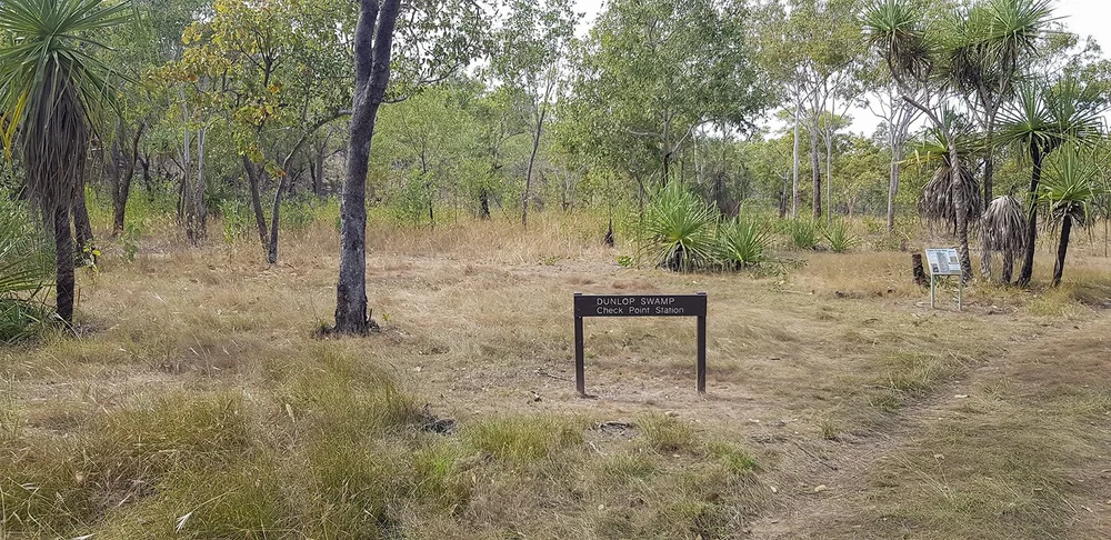 Dunlop Swamp campsite