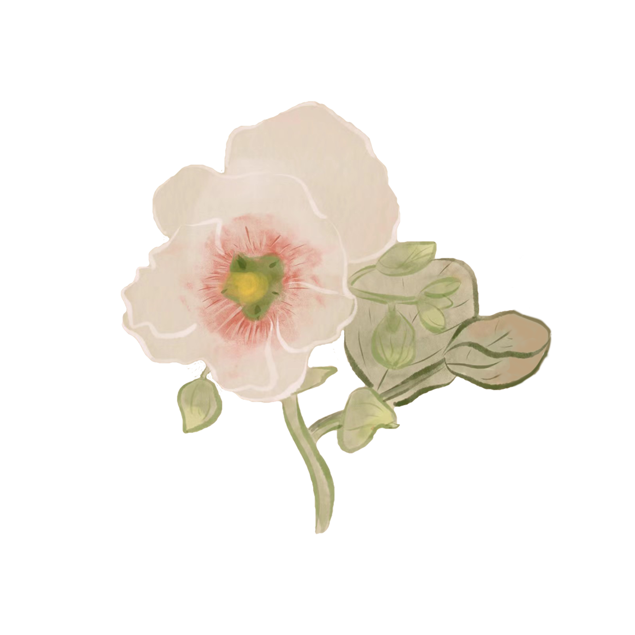 2 (2).png