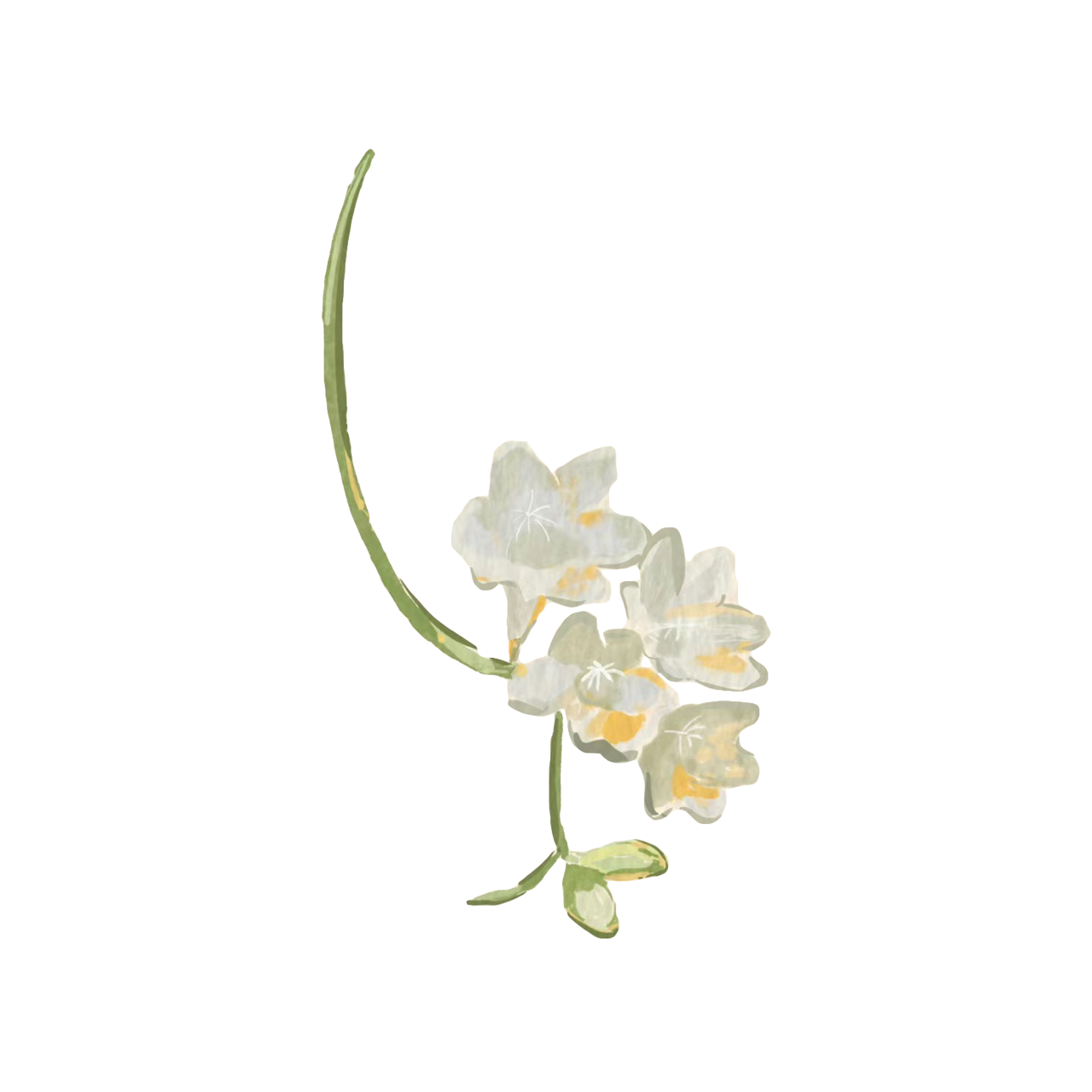 2023-10-31 110629.png