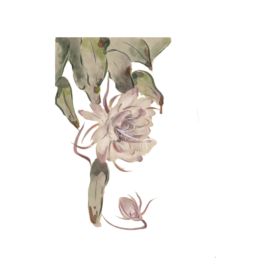 微信图片_20240115231053.png