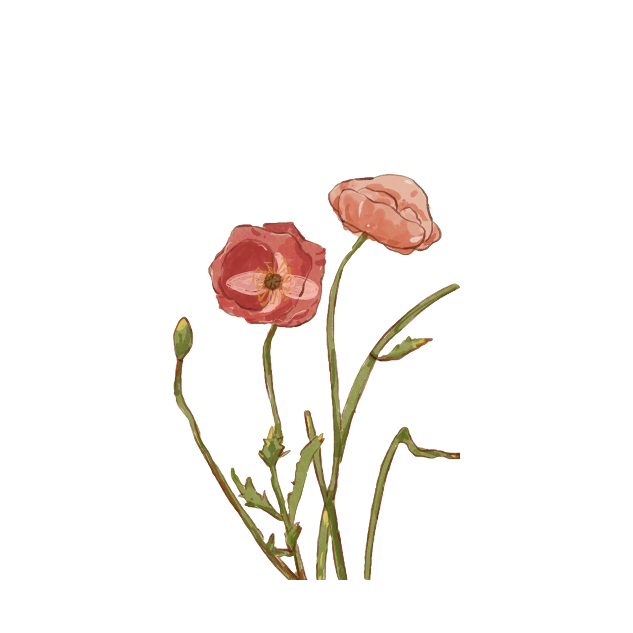 2023-10-31 110605-.png