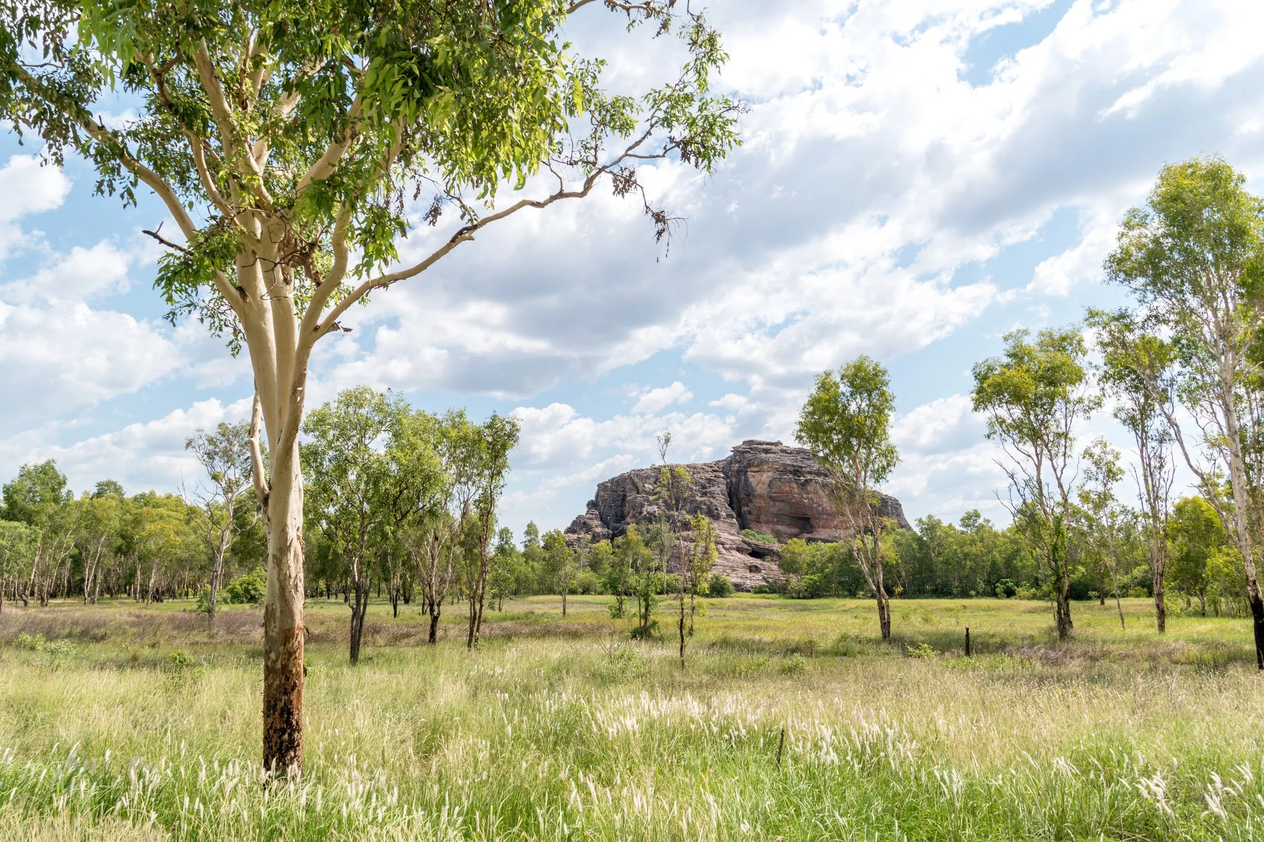 Northern Territory: East Arnhem Land adventure 6 days 