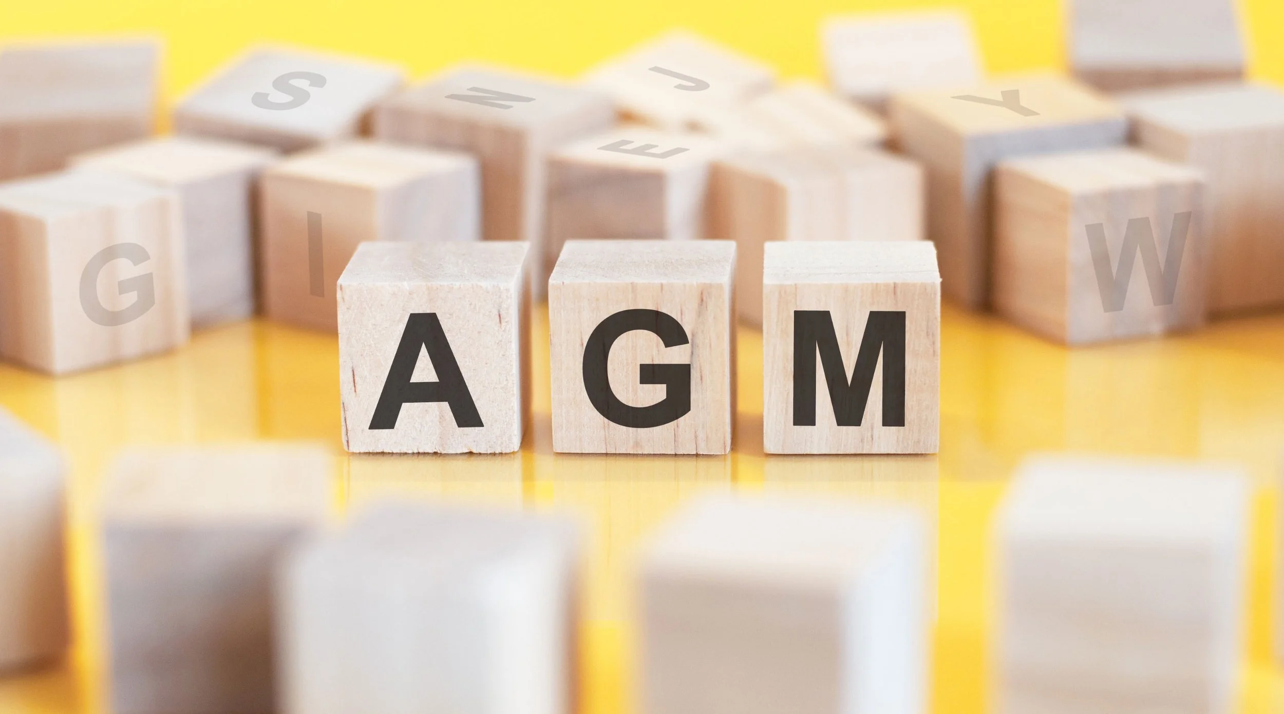 QMSA Annual General Meeting 2026