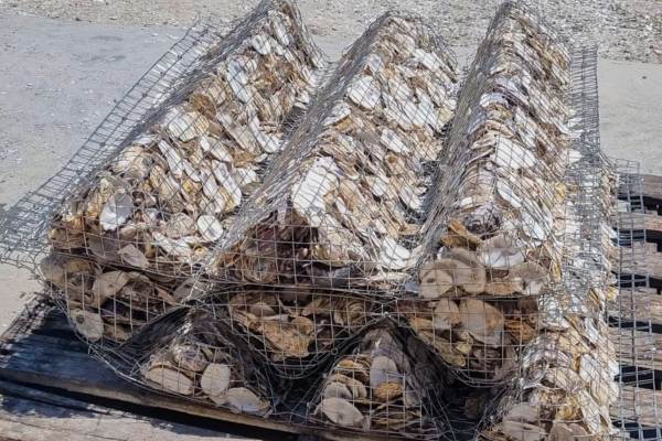 Men’s Sheds Join Forces with OzFish to Build Better Waterways