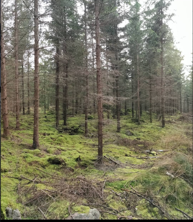 Arg och ovärdig