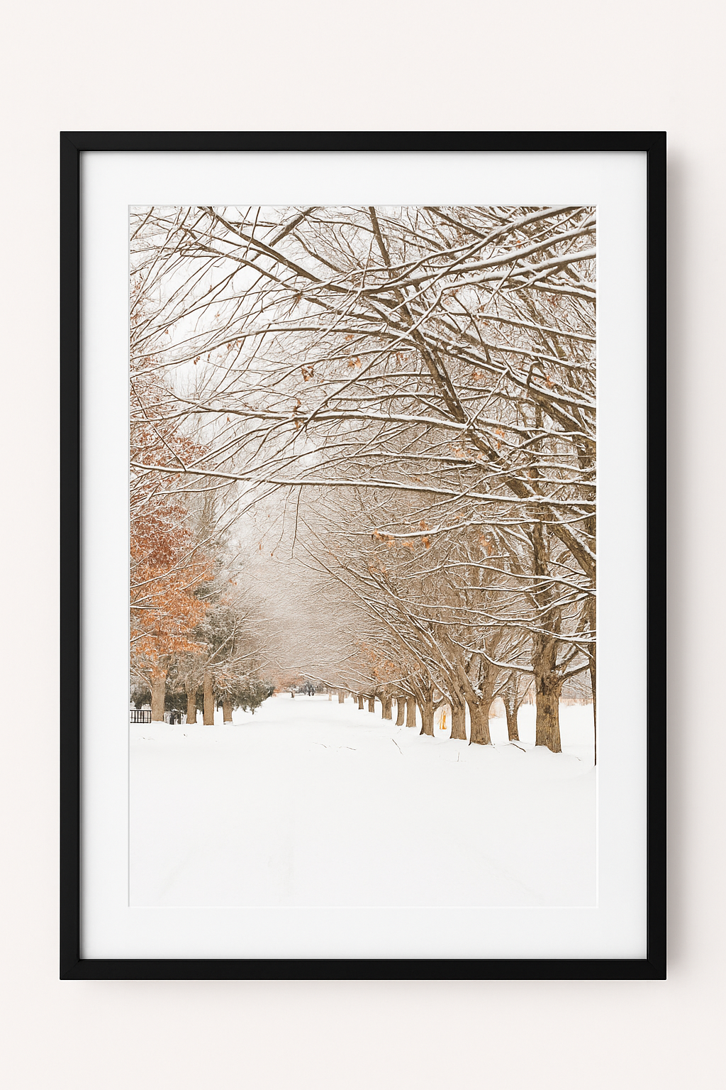 Snow Day