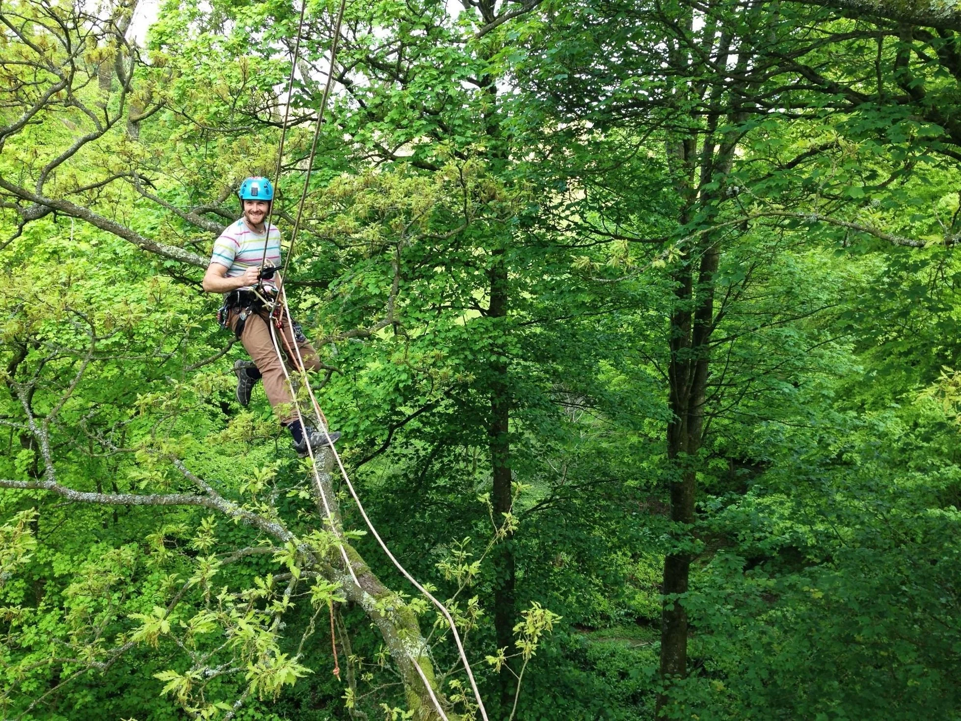 Tree climbing instructor Waldo on the ropes.
