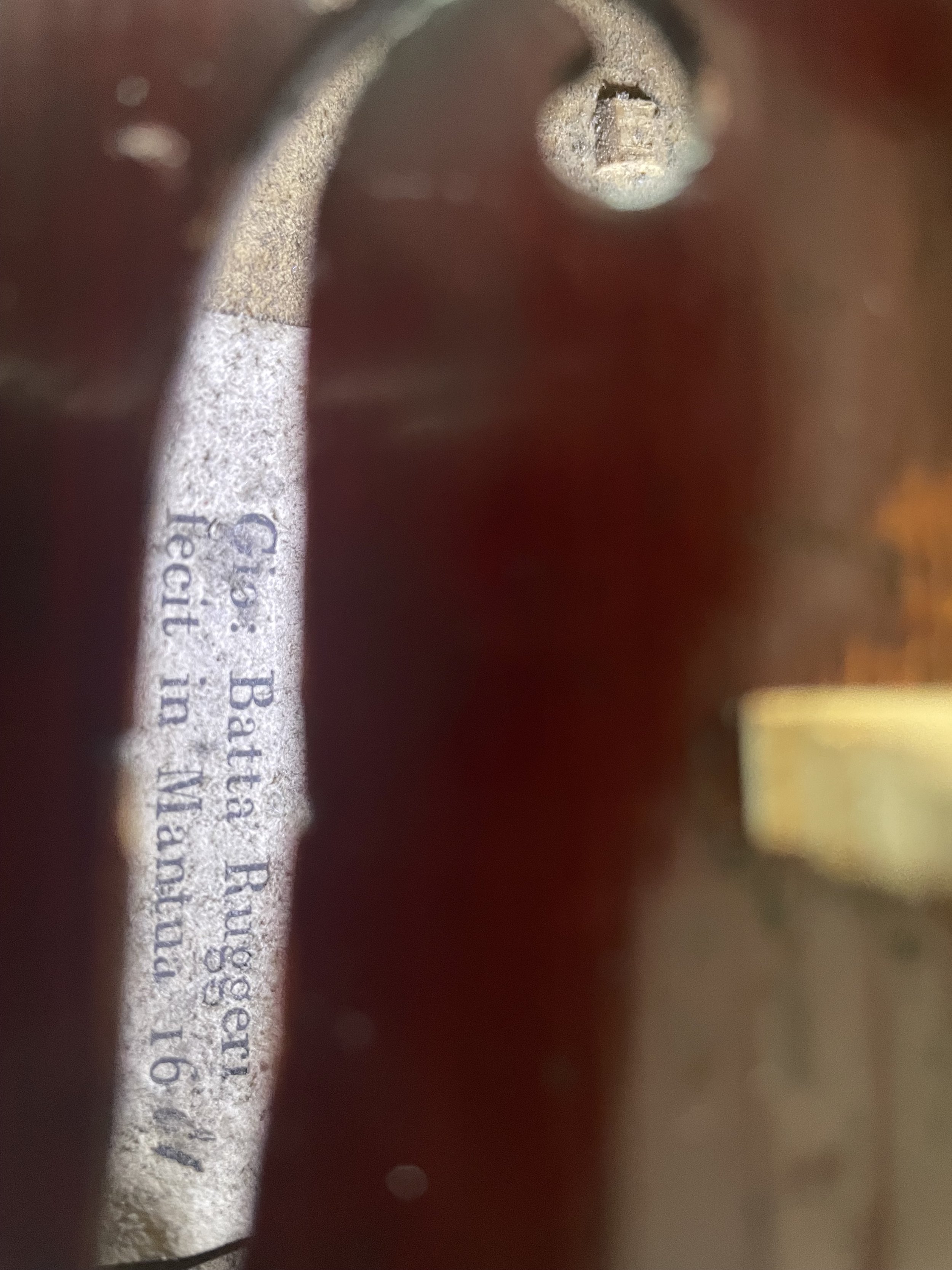 IMG_6527.jpeg