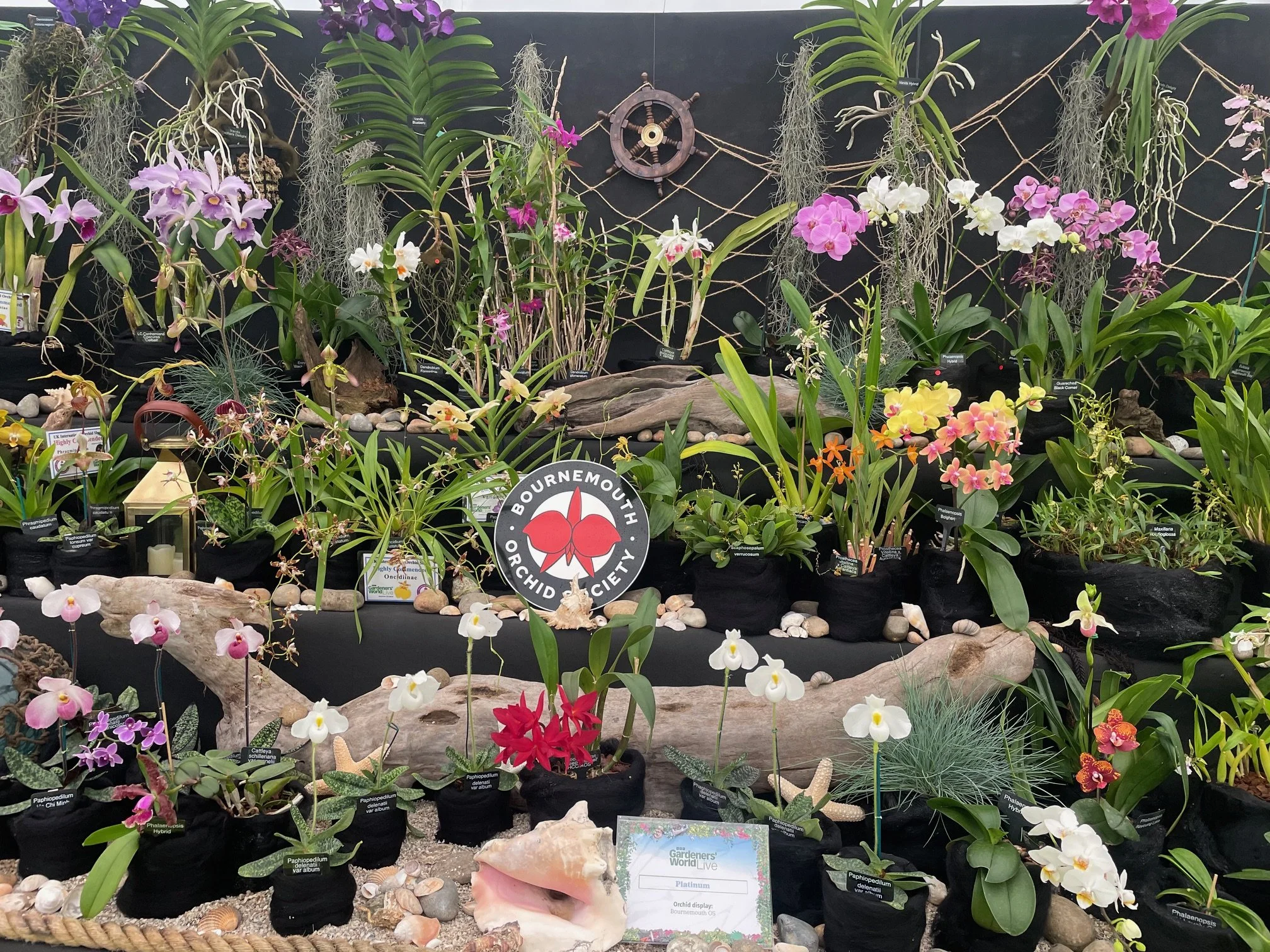 BBC Gardeners’ World Live / June 2026