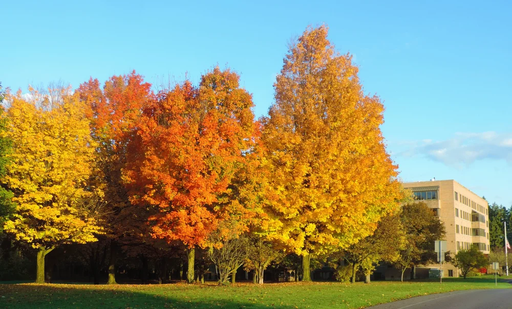 Job Openings — Mount View Assisted Living