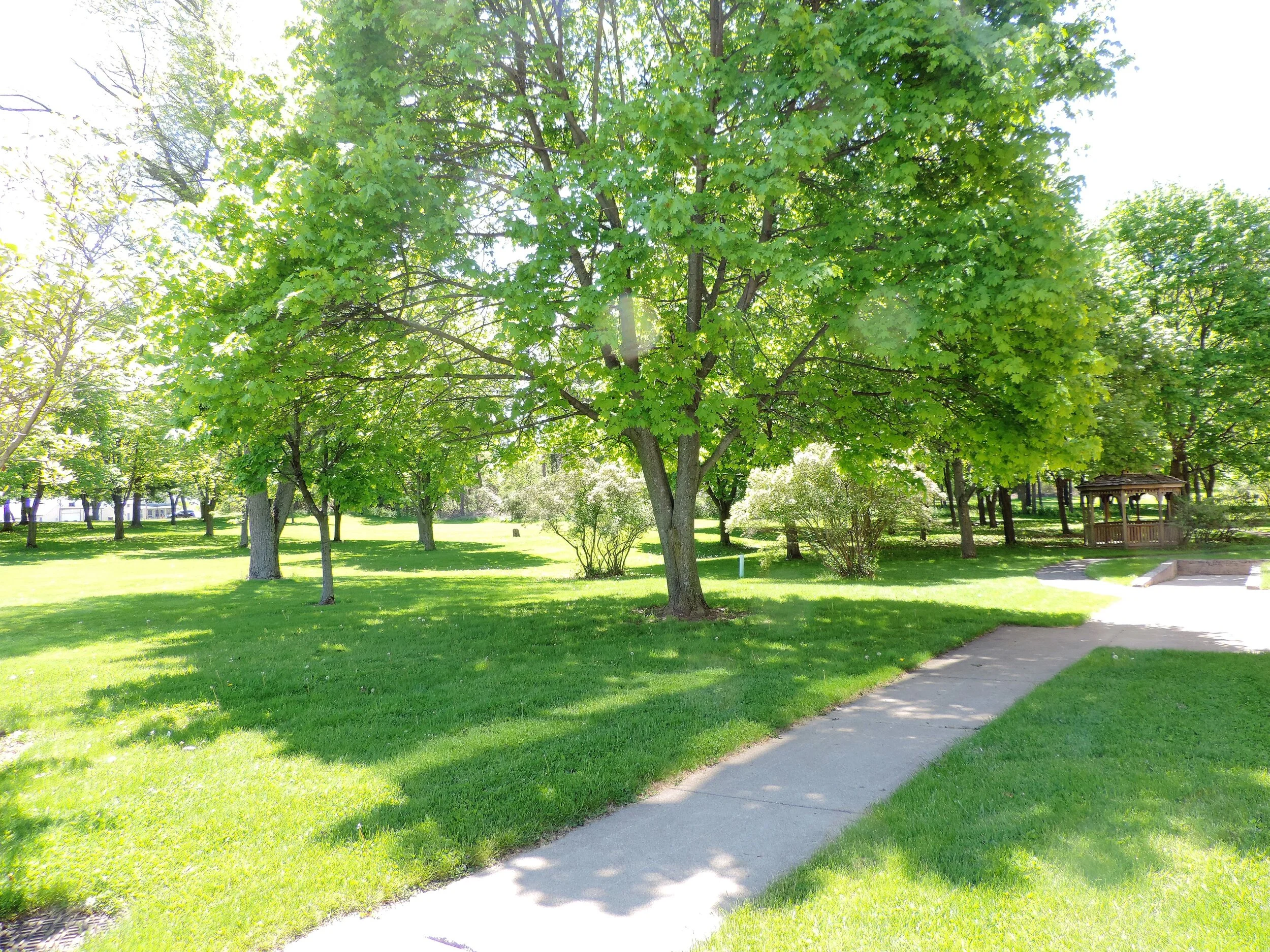 Services & Amenities — Mount View Assisted Living