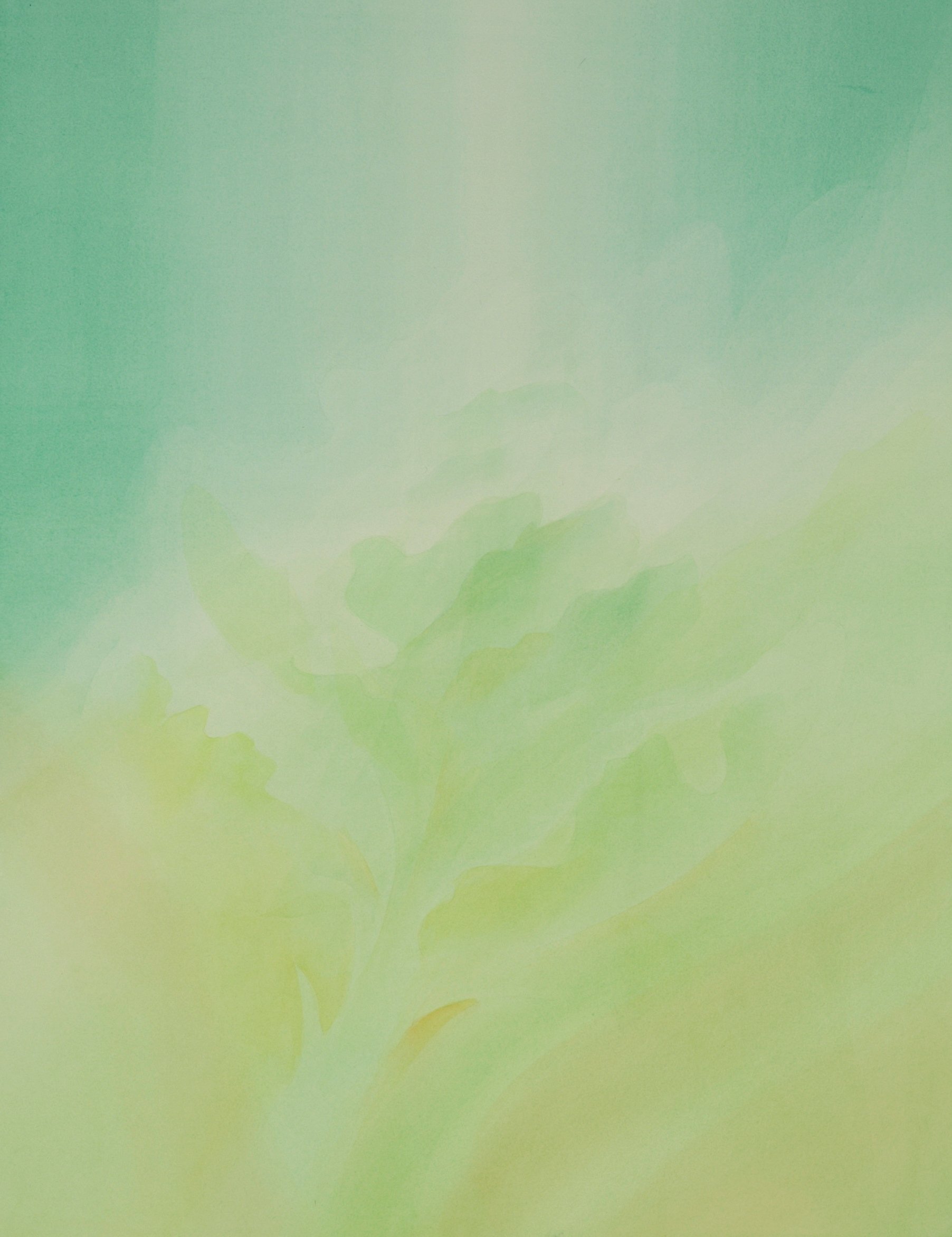 Pflanze Viridian 7.jpg