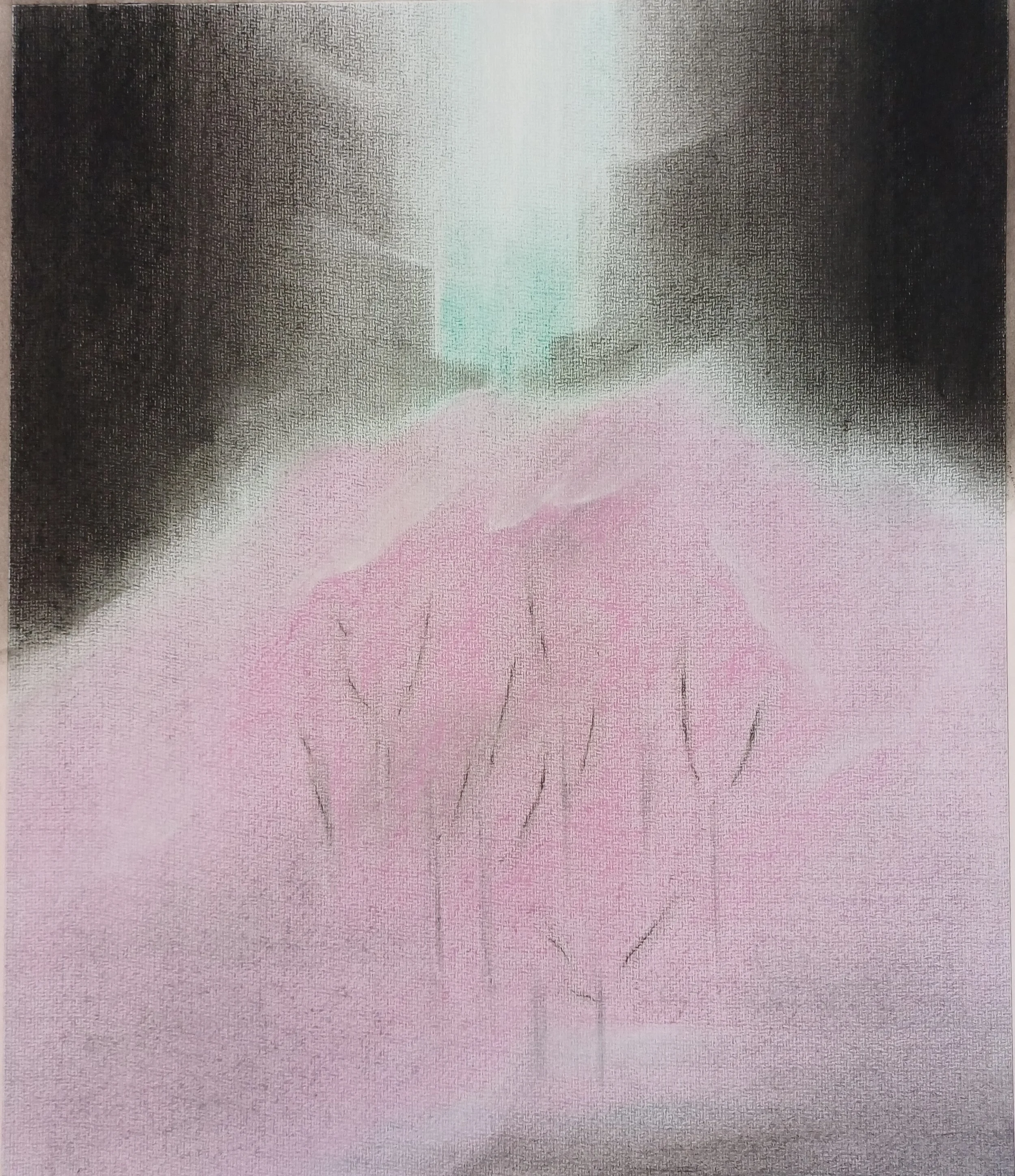 Bildfarben Blühende Bäaume 1.25.jpg