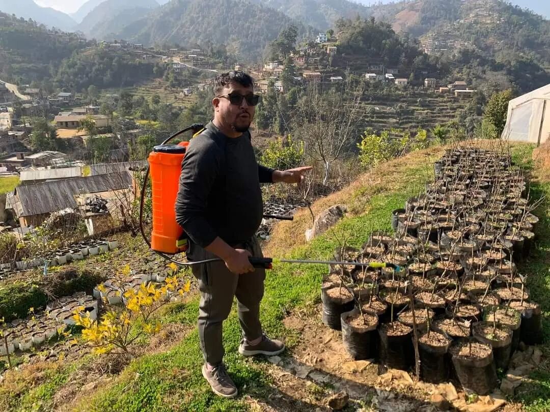 Druk bezig met het entseizoen in Nepal. De Gentse bomen worden in het veld geplaatst voor 1 jaar voor beter resultaat. Charlie heeft 8 mensen opgeleid uit 5 verschillende districten van Nepal. De video is opgenomen in Sankhuwasaba in Oost Nepal.