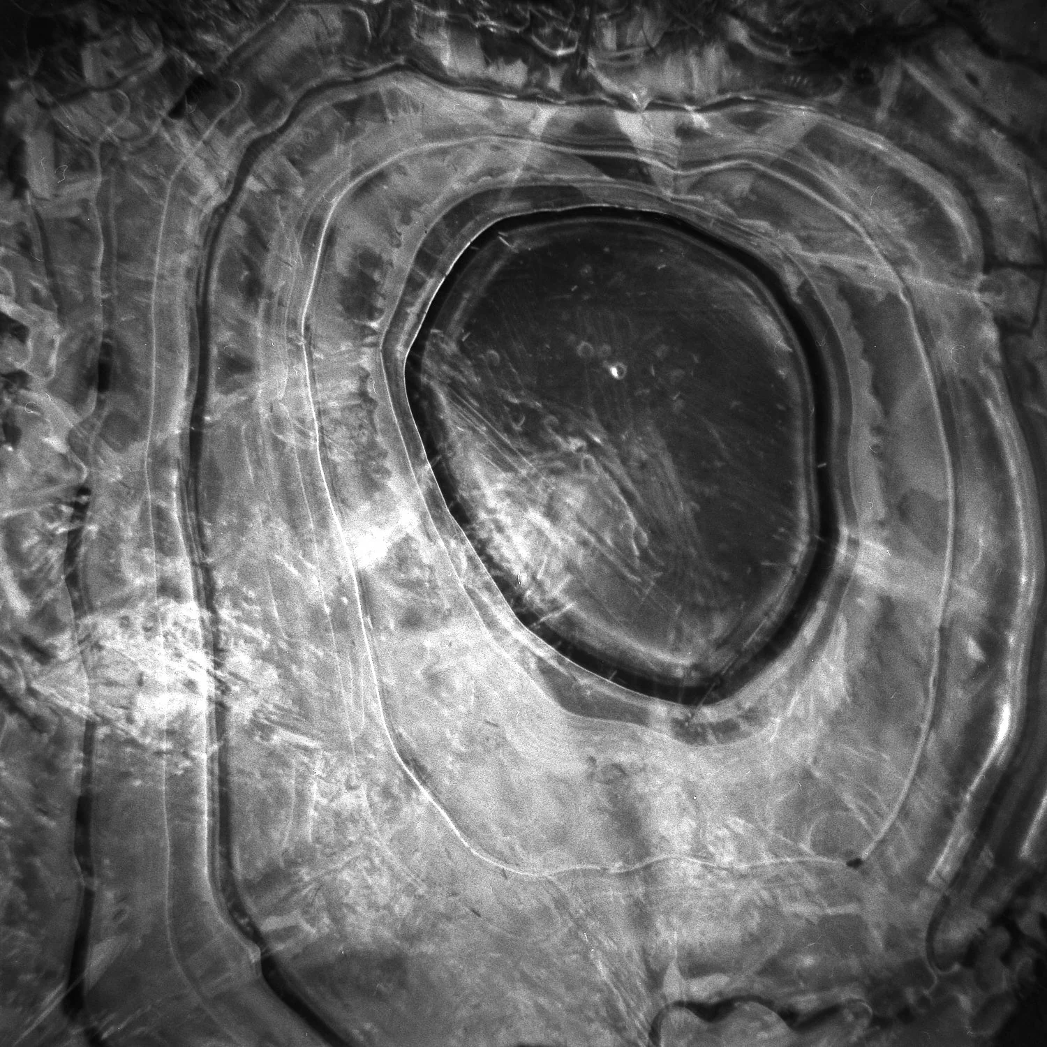 EP10 Rodrigo Cortez (RC)