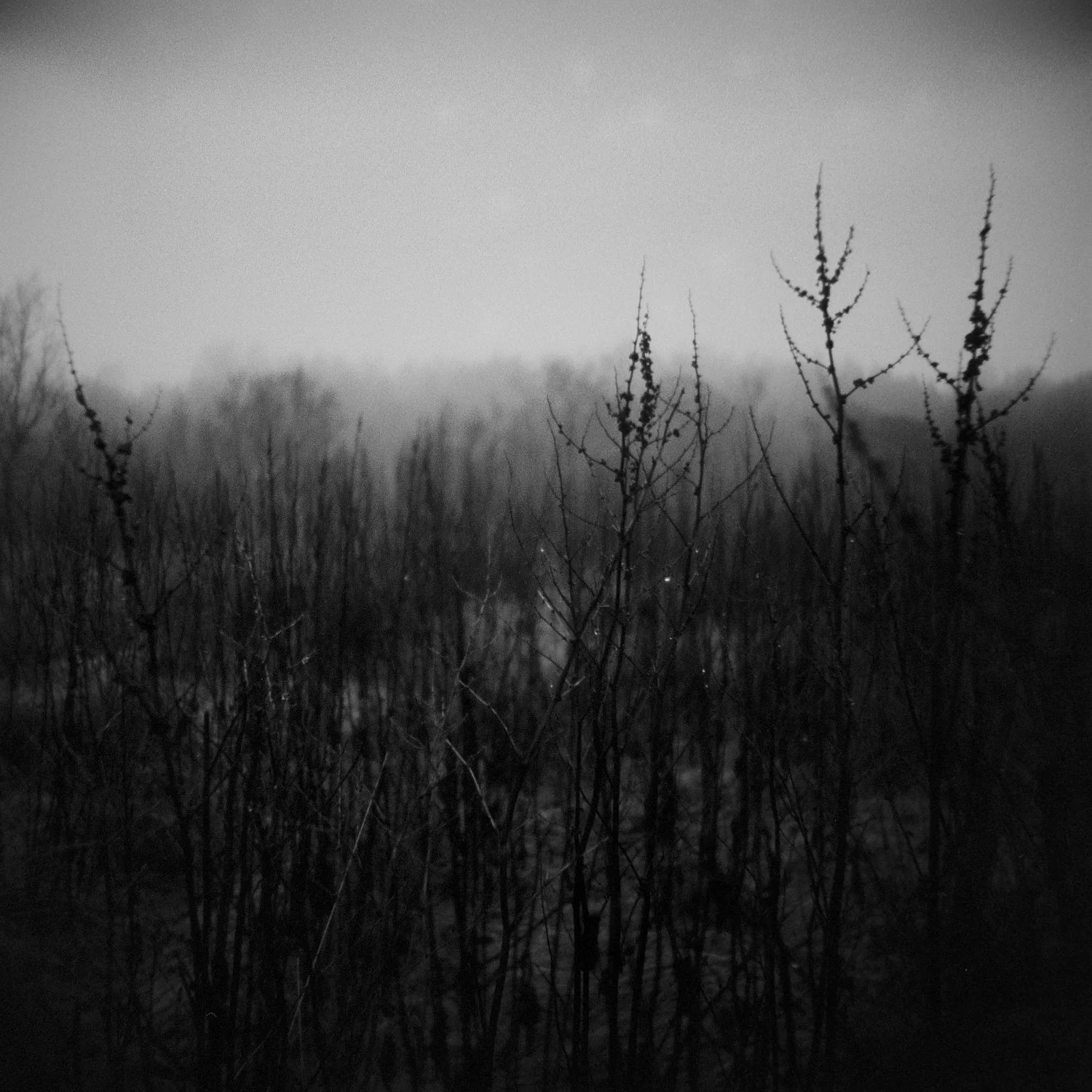 EP 12/13 Jannicke Wiese-Hansen