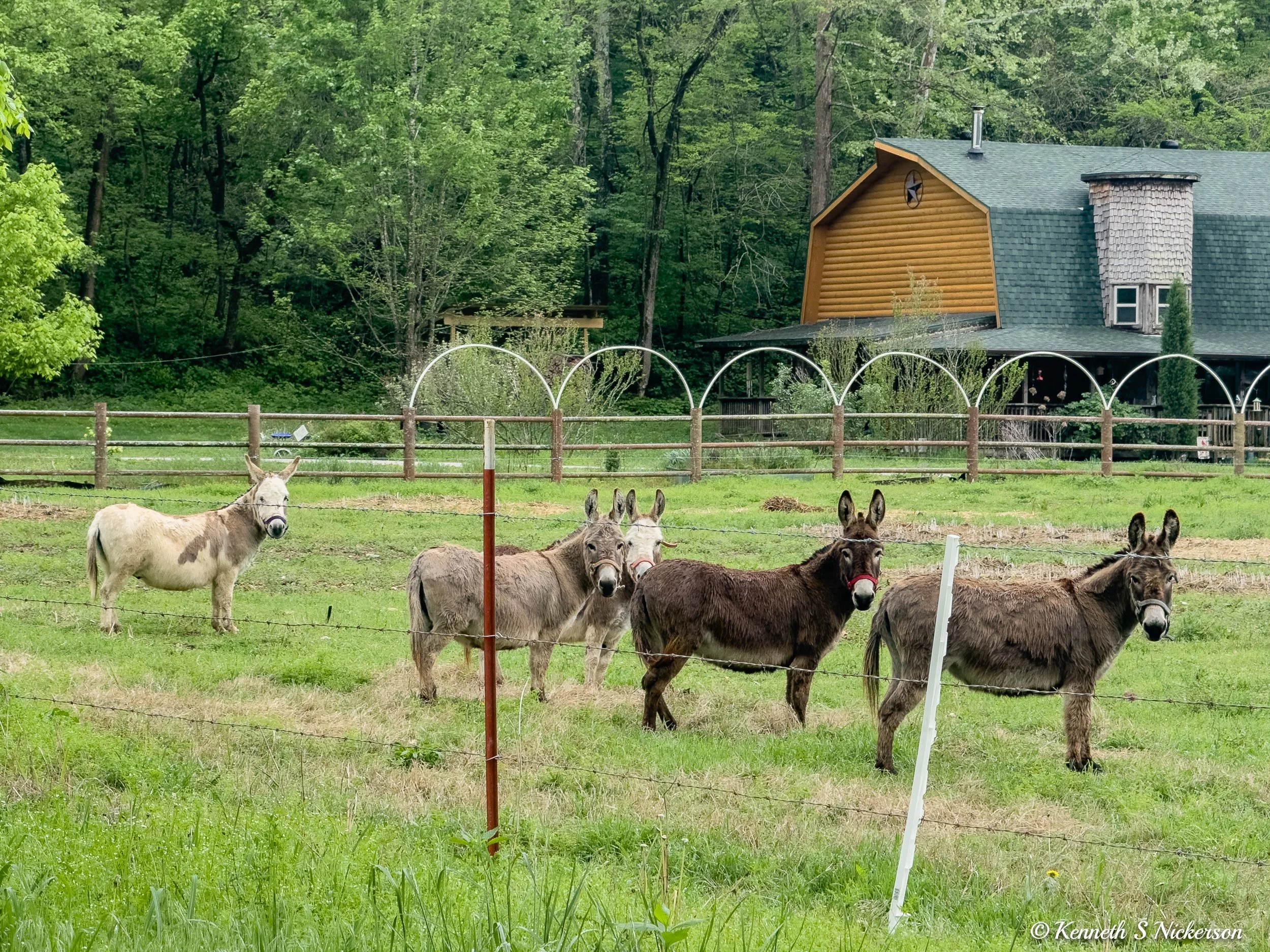 Arkansas Biking Days 3 &amp; 4