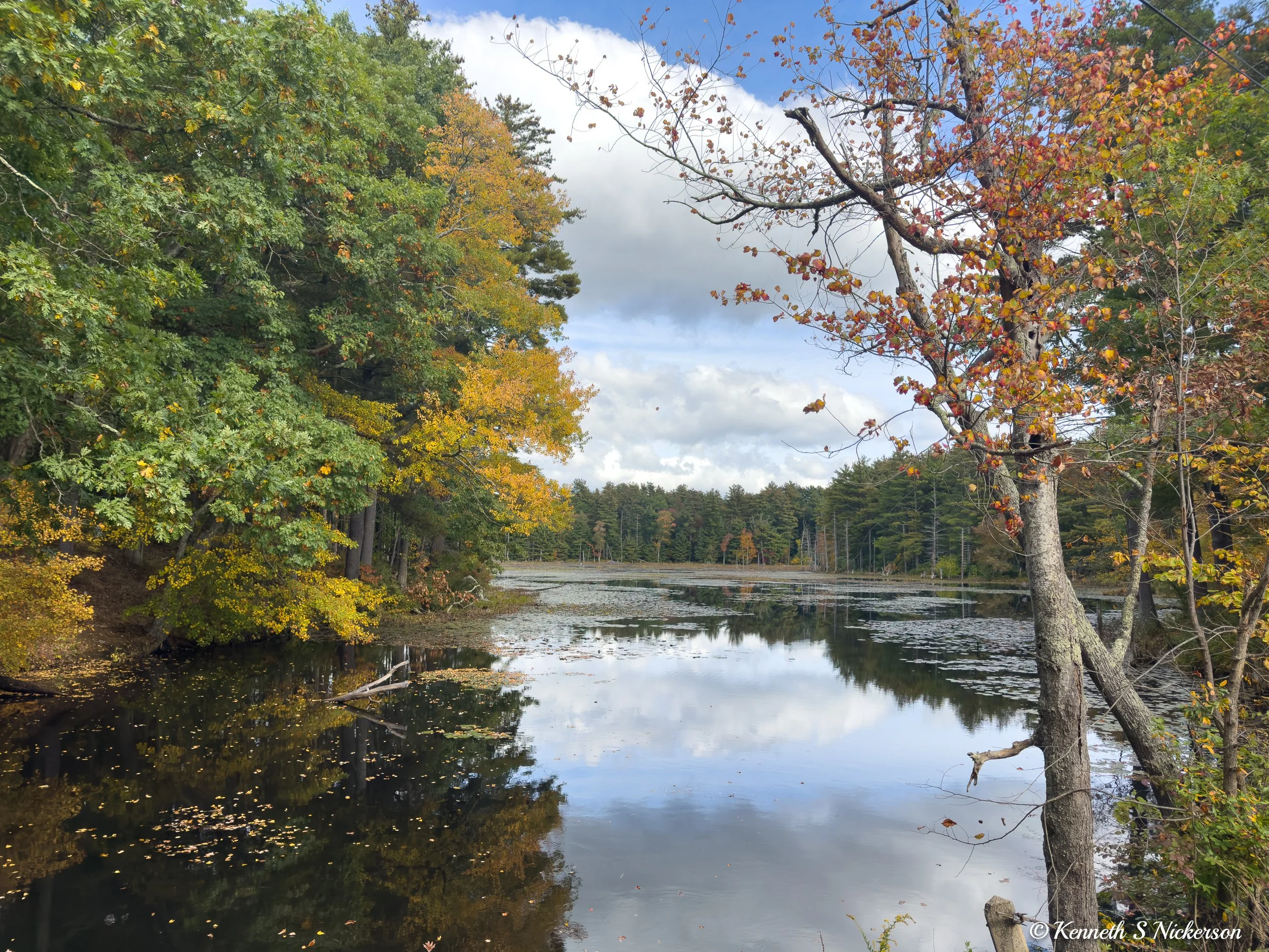 Biking in Harvard MA