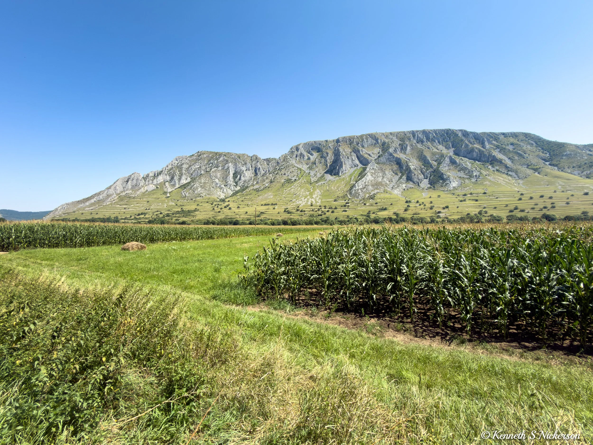 To Coltesti, Romania