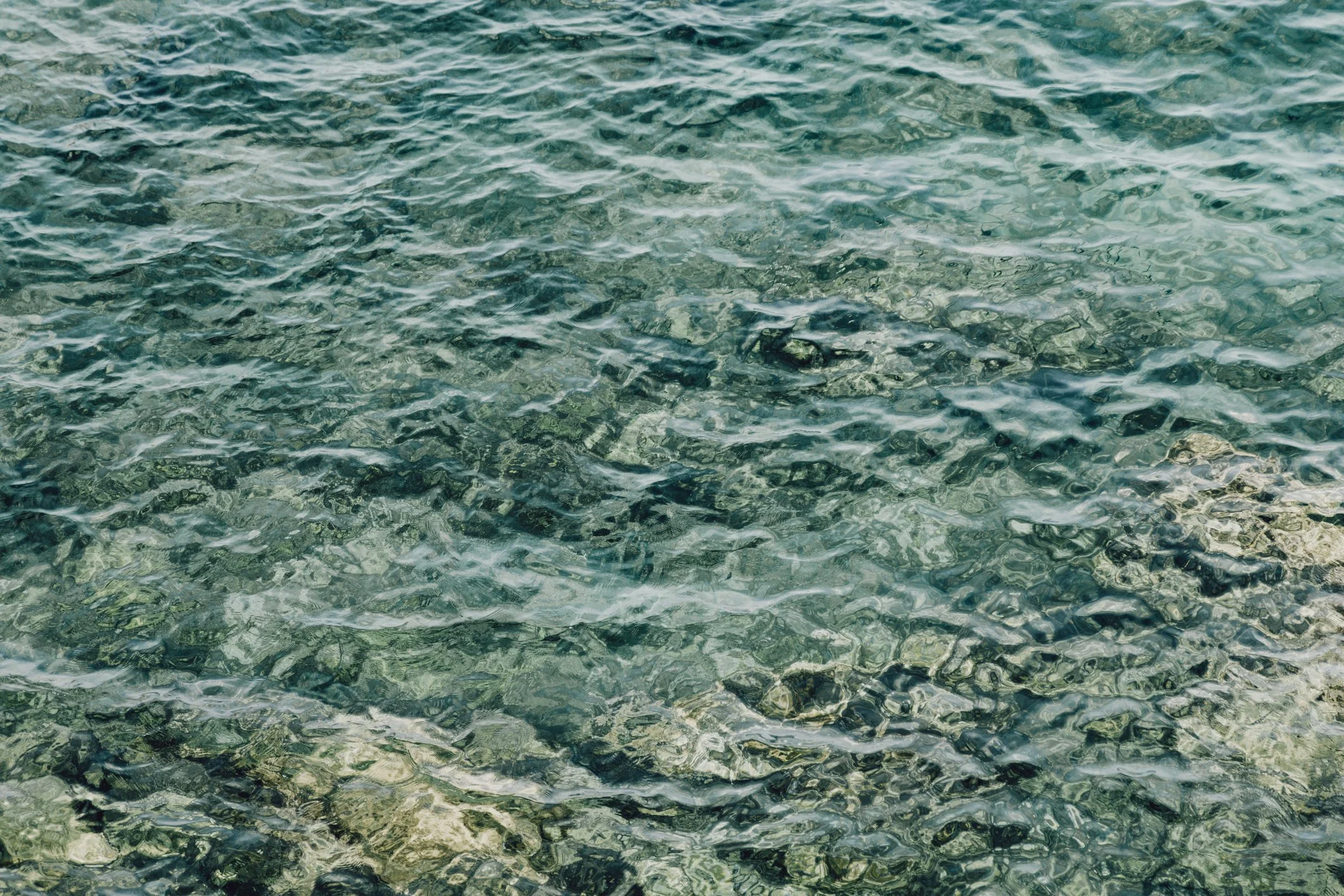 The Perfect Swim.jpg