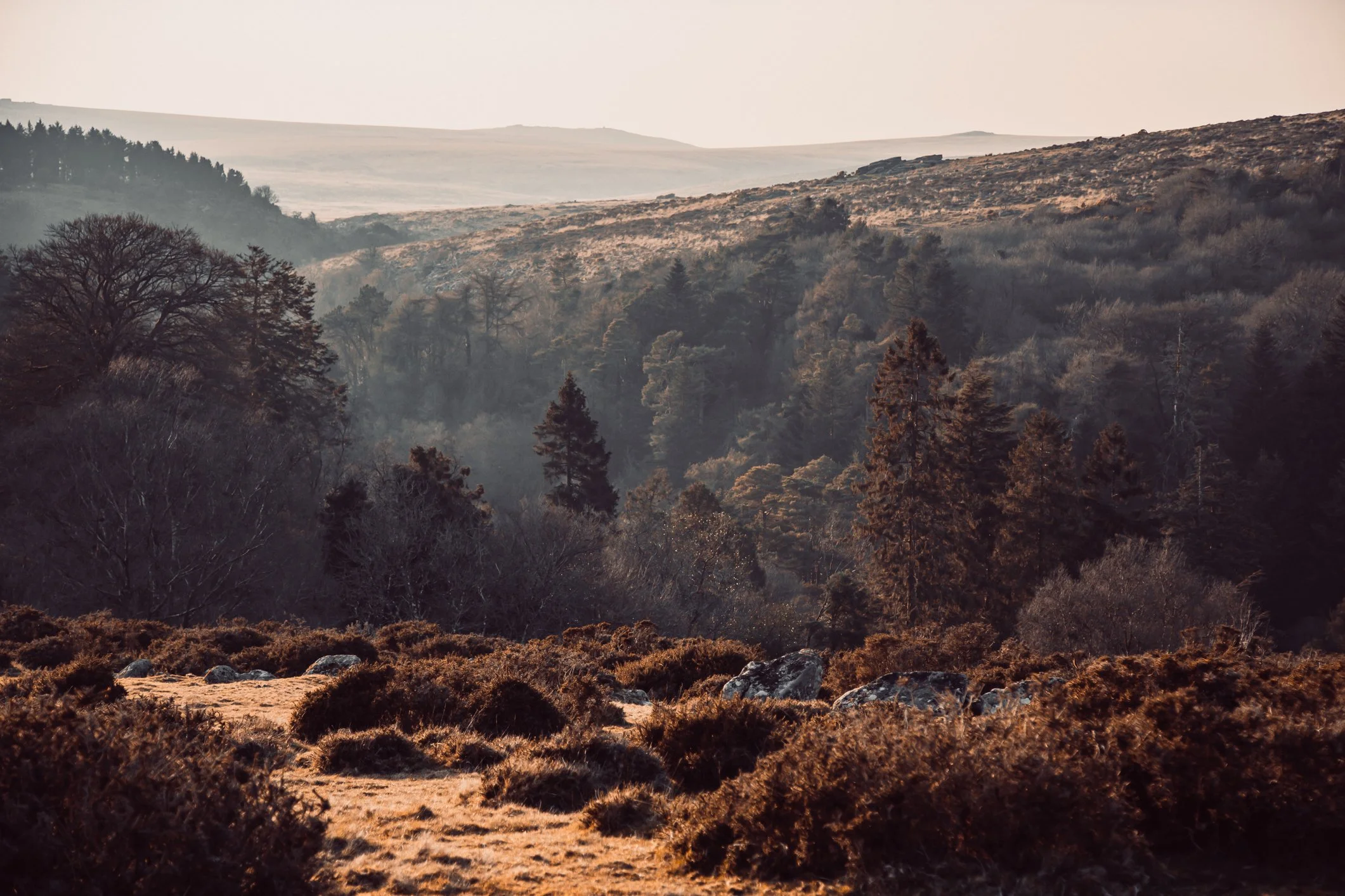 Walking In The Warm Winter Sun