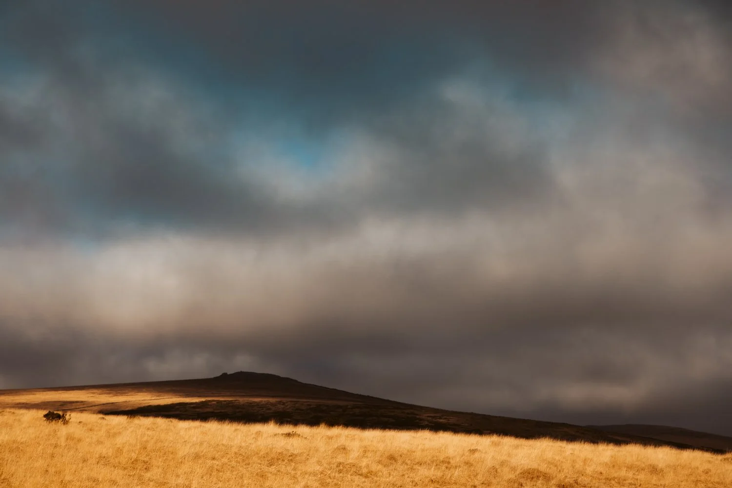 A landscape with a golden field in the foreground, a hill in the background, and a cloudy sky overhead.