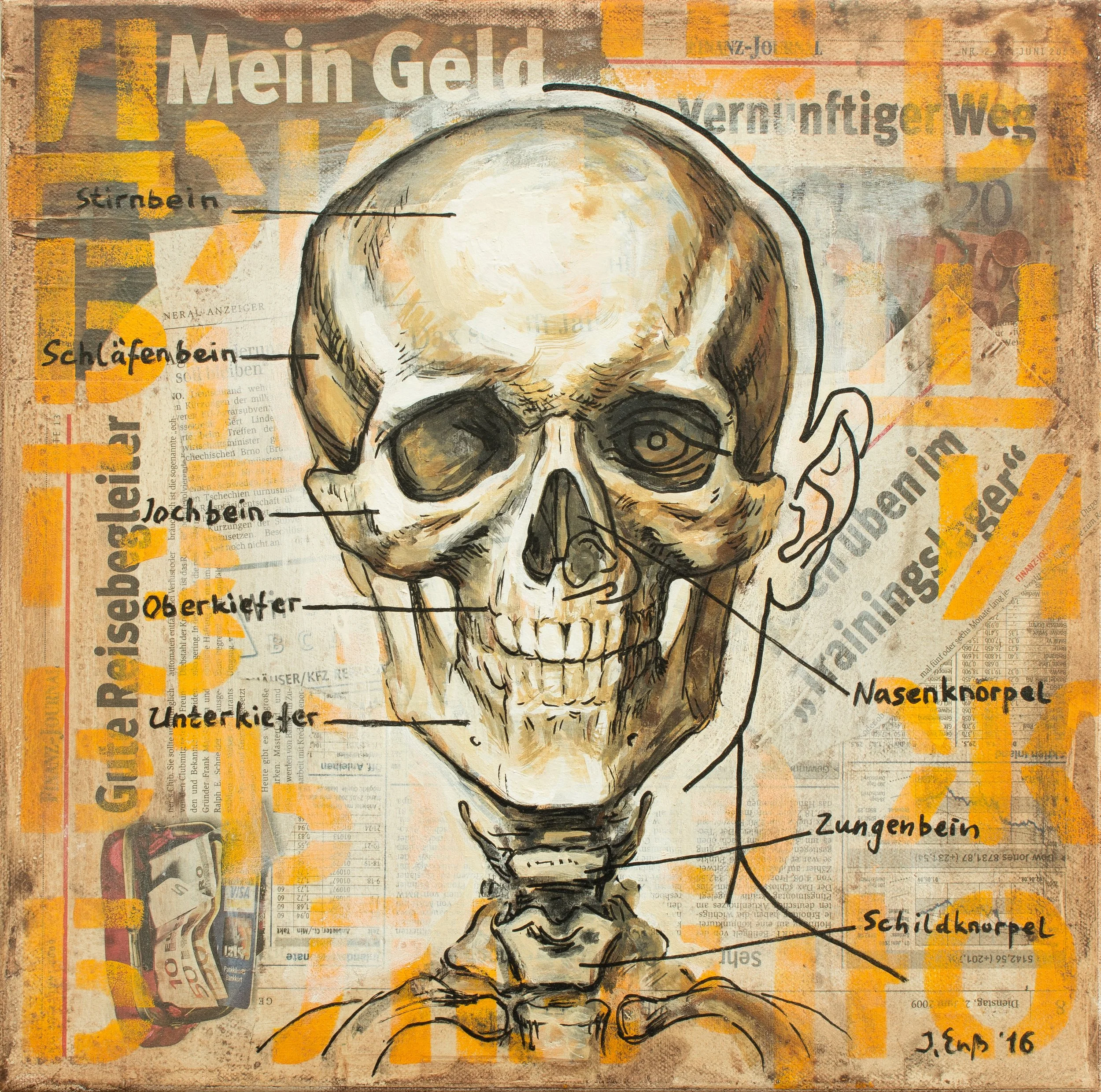 Schaedel.jpg