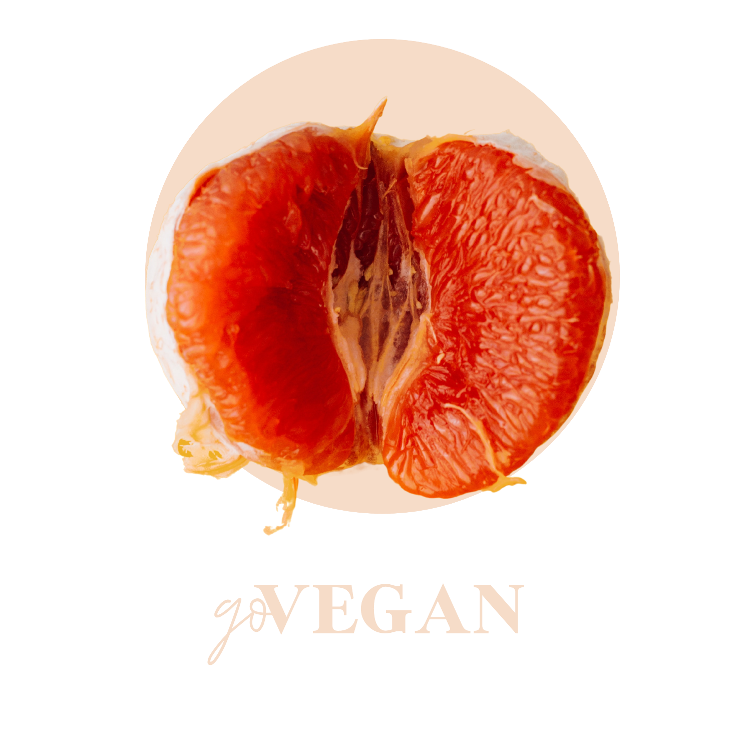 Leidenschaft und Macht für Gina Telegraph