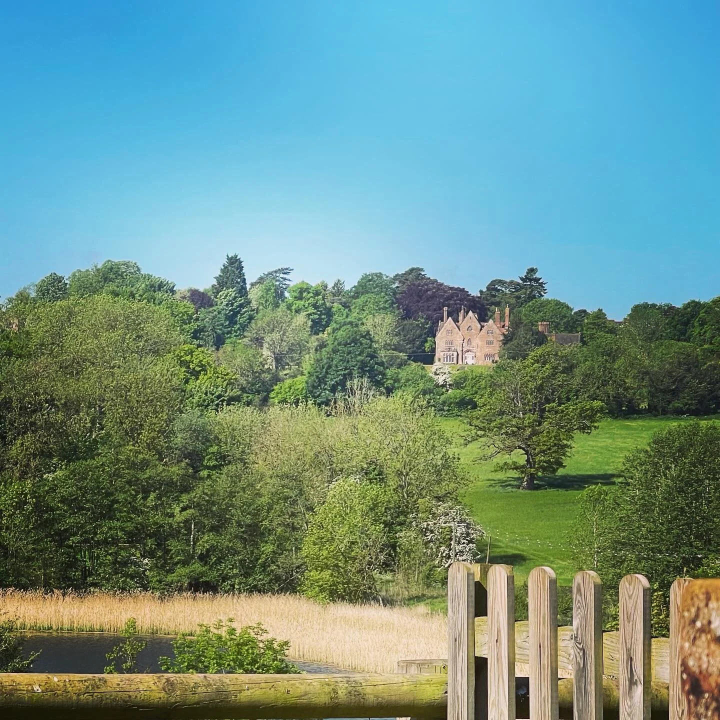 Sunday morning #tea #reading #sunshine #countryside #bankholidayweekend #england #home #statelyhome #posh #blueskies