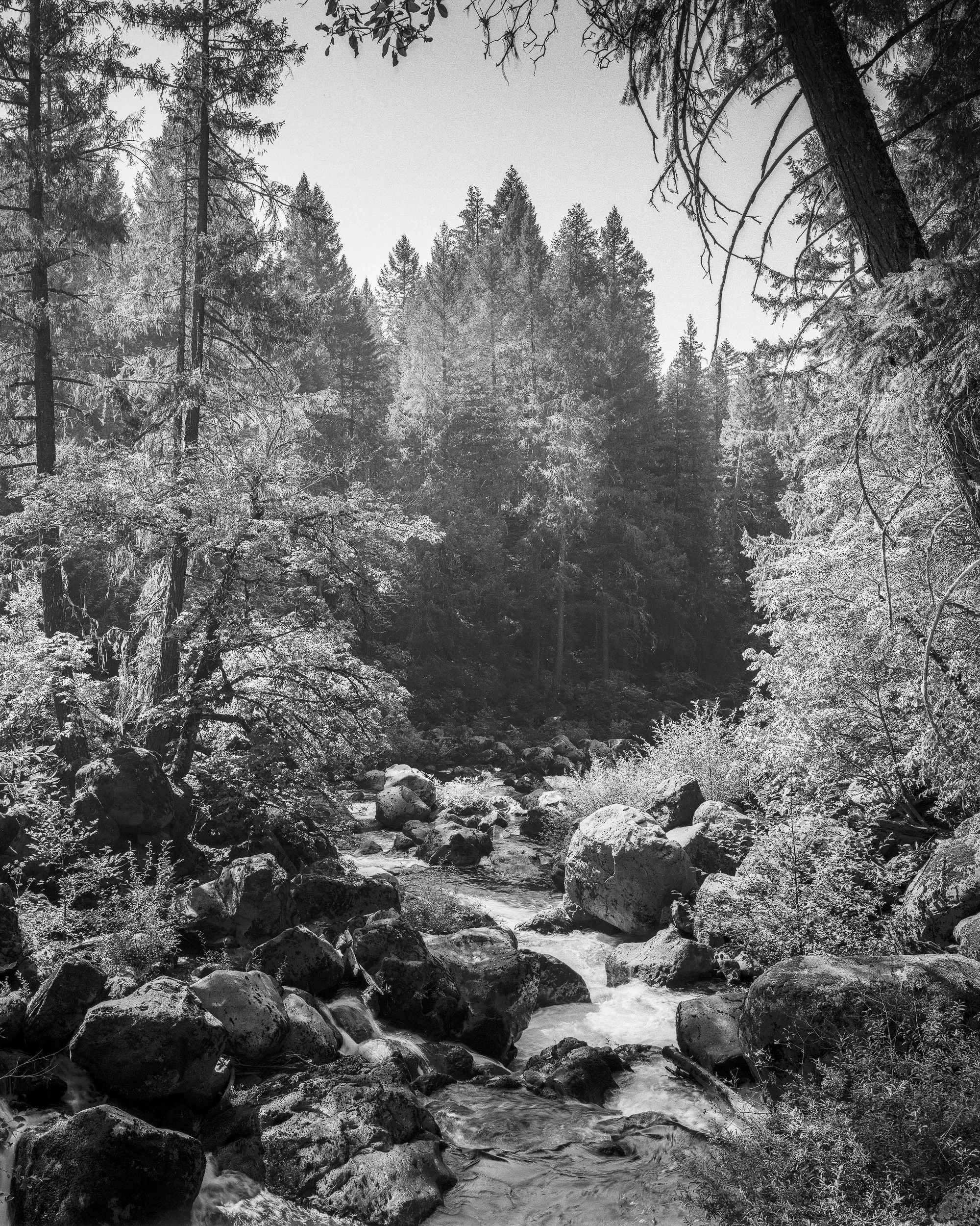 Rogue River Rapids.jpg
