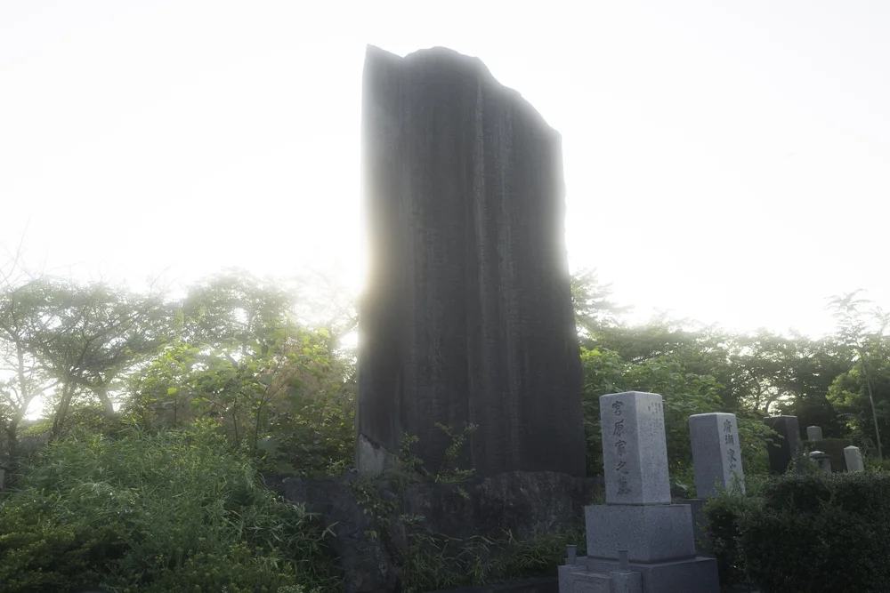 Aoyama Cemetery -1240842.jpg