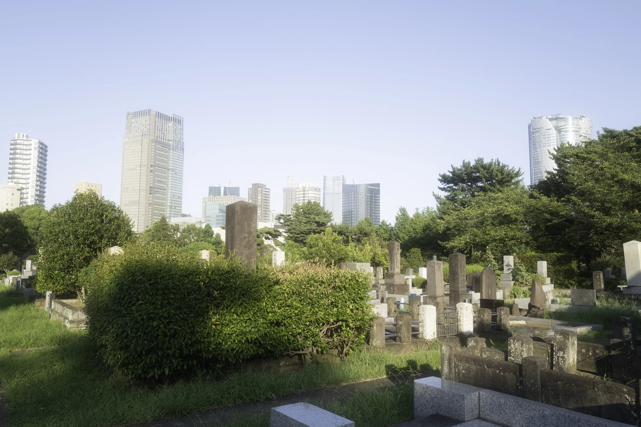 Aoyama Cemetery -1240843.jpg