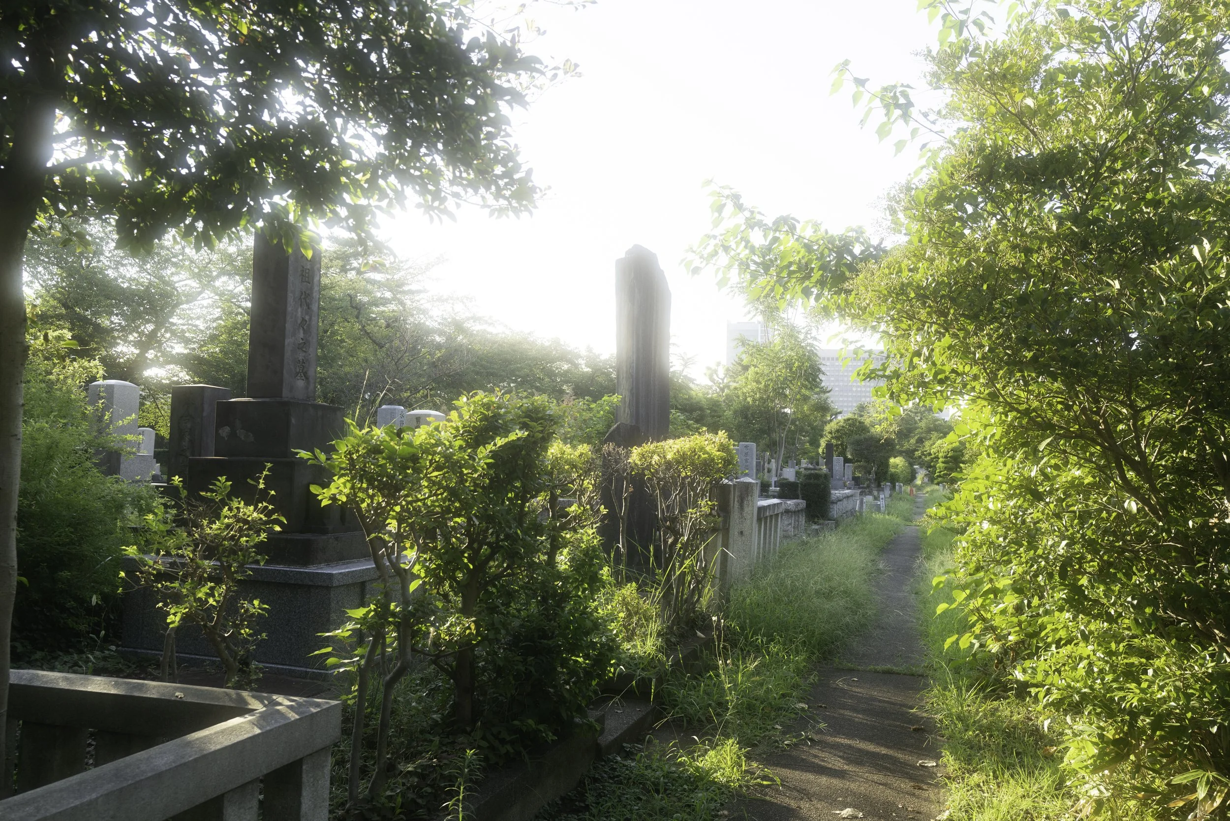 Aoyama Cemetery -1240840.jpg