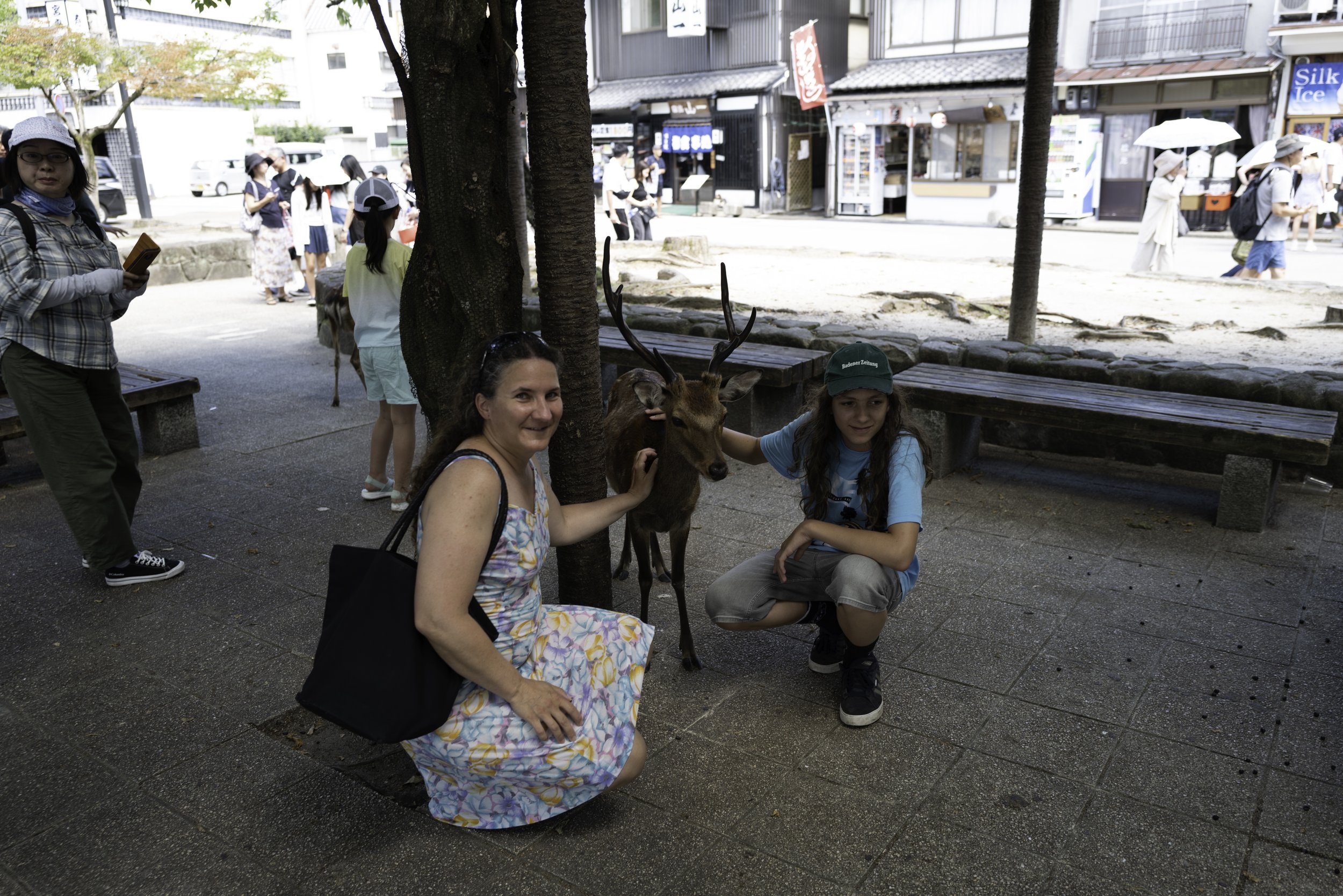Hiroshima - Miyajima - Torii -1080192.jpg