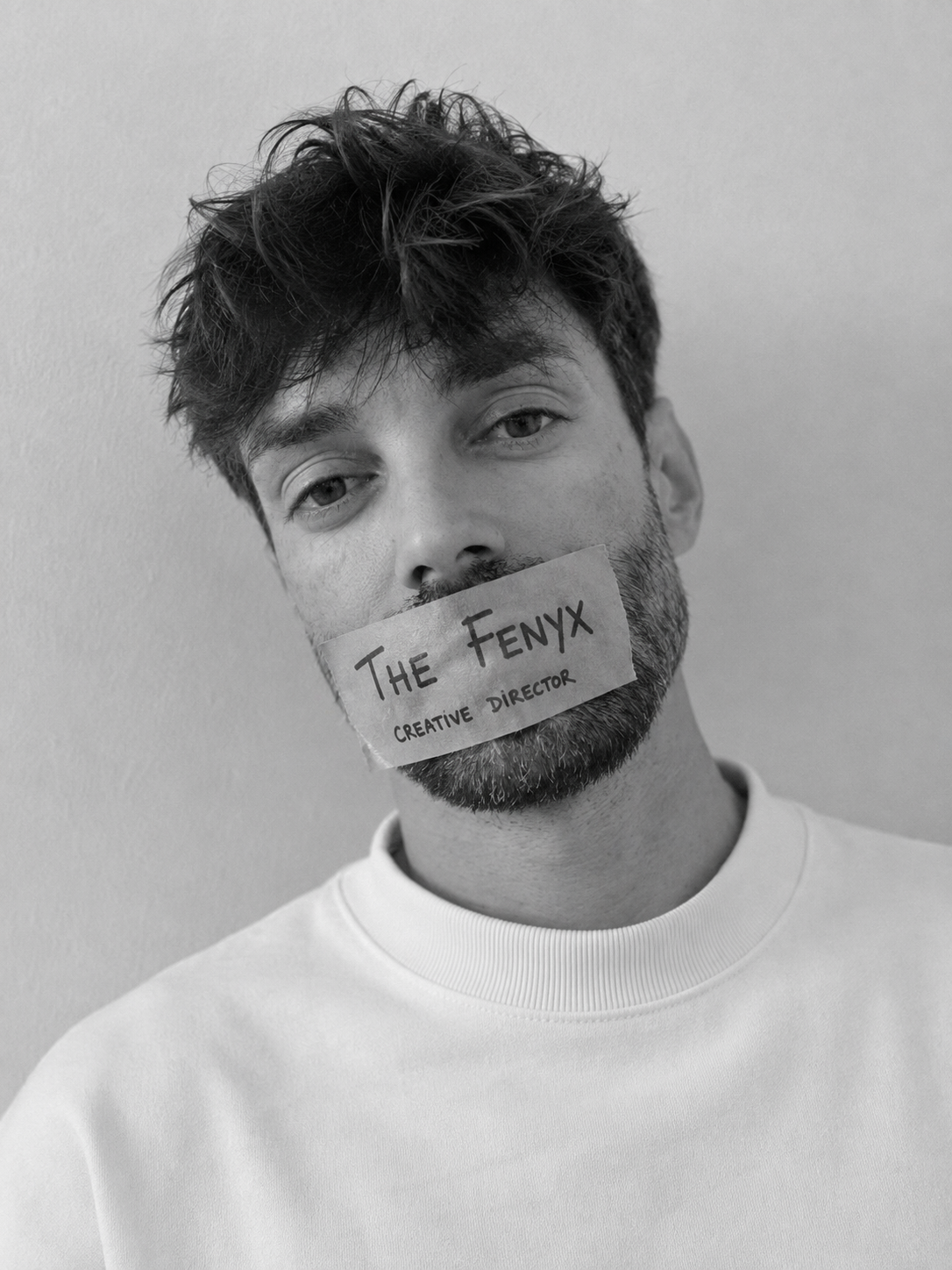 The Fenyx 