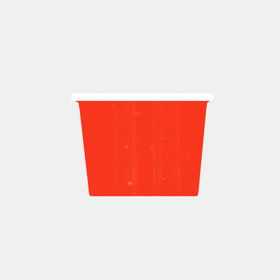 Dixie_1960sStarfliteCup_Final.gif