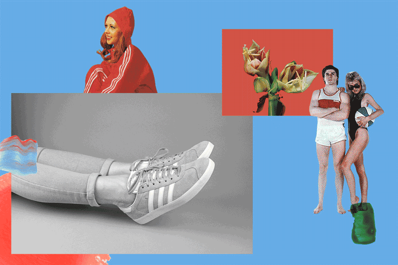 Adidas_Motion_#1.gif