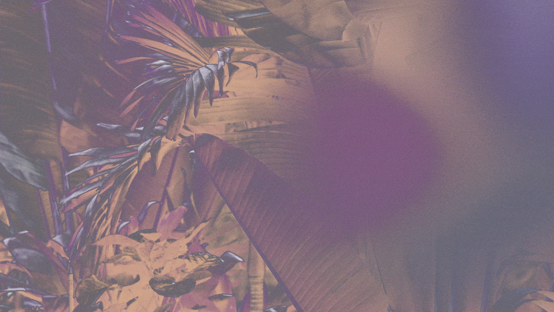 Kitsune_Gif_#6-min.gif