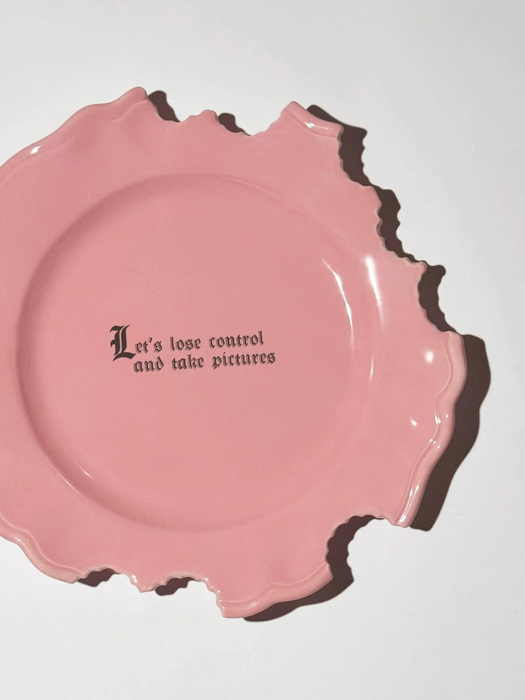 Wrong Dinner Plate - "Let's lose control and take pictures"